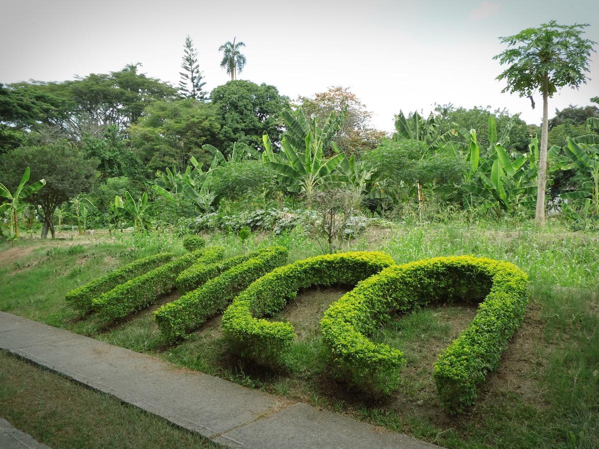 Imca Hotel Buga Bagian luar foto